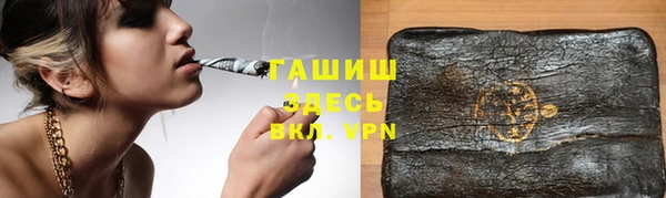 дмт Бородино