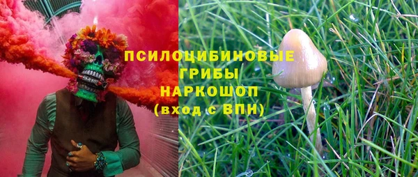 дмт Бородино