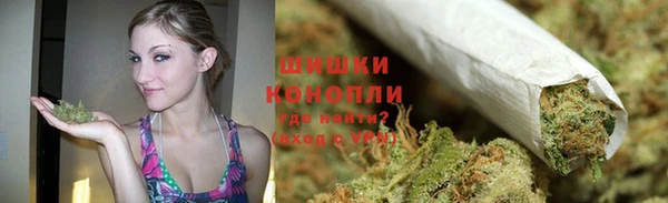 амф Бронницы