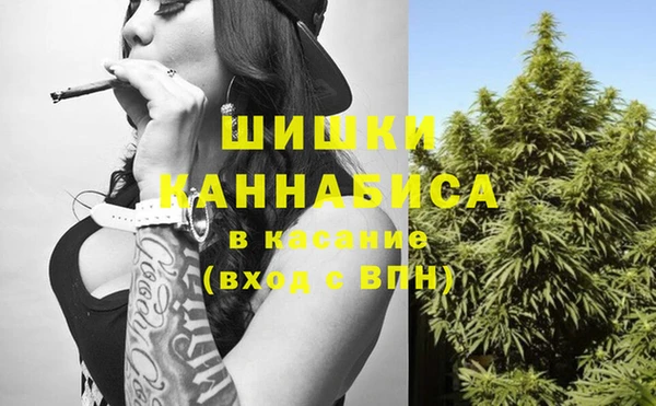 ECSTASY Богородицк