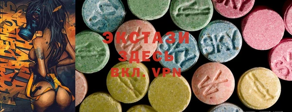 ECSTASY Богородицк