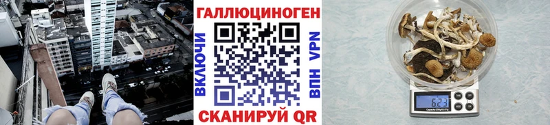Галлюциногенные грибы Cubensis  это наркотические препараты  Магас 
