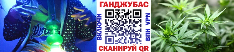 где найти наркотики  Магас  Конопля Amnesia 